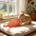 thumbnail image 5 of PoyoKee Interactive Cat Toys for Indoor Cats, 6" x 2.4" Real Catnip Small Soft Catnip Toys, Lightweight Puppy Essentials for Batting Carrying, Orange, 5 of 8