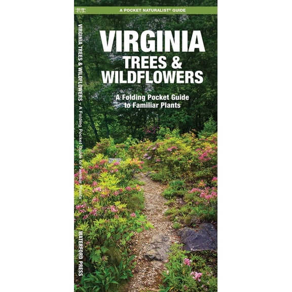 Pocket Naturalist Guides: Virginia Trees & Wildflowers: An Introduction to Familiar Species (Paperback)