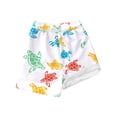 thumbnail image 1 of JTieacloth Boys Swim Trunks With Compression Liner Toddler Bathing,Sizes 10-12 Years, 1 of 3