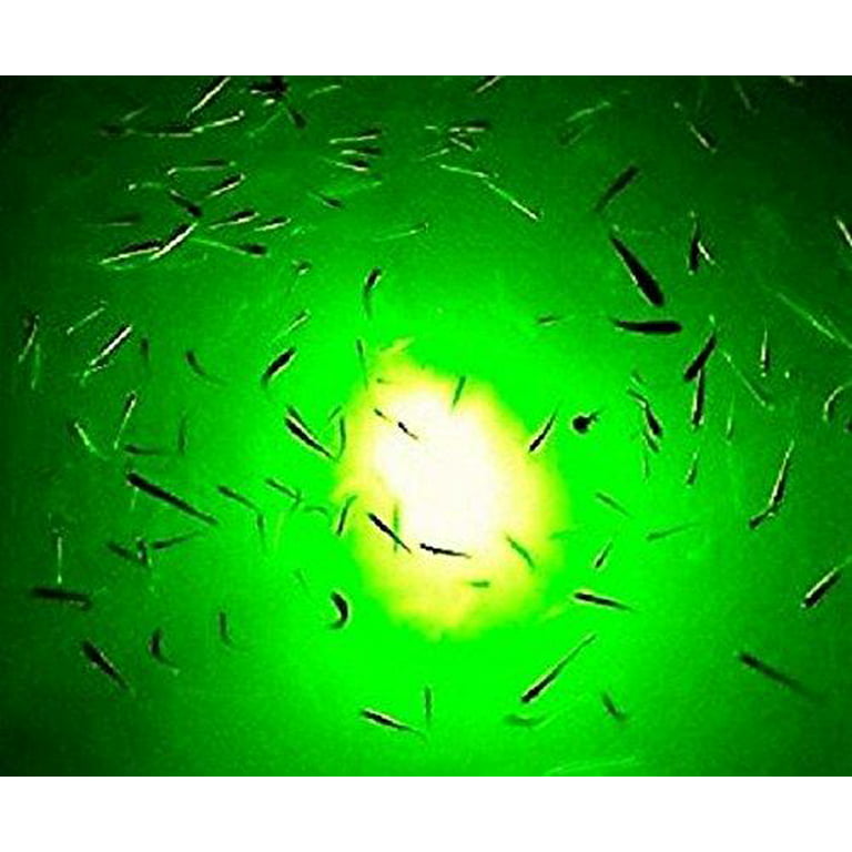 Green Blob Outdoors Underwater Fishing Light 7500 Lumen for Boats includes  Alligator Clips & Cigarette Lighter w/ 30ft Cord