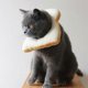 thumbnail image 4 of Adorable Bread Shape Headgear Cotton Cat Headdress Funny Pet Costume, 4 of 4