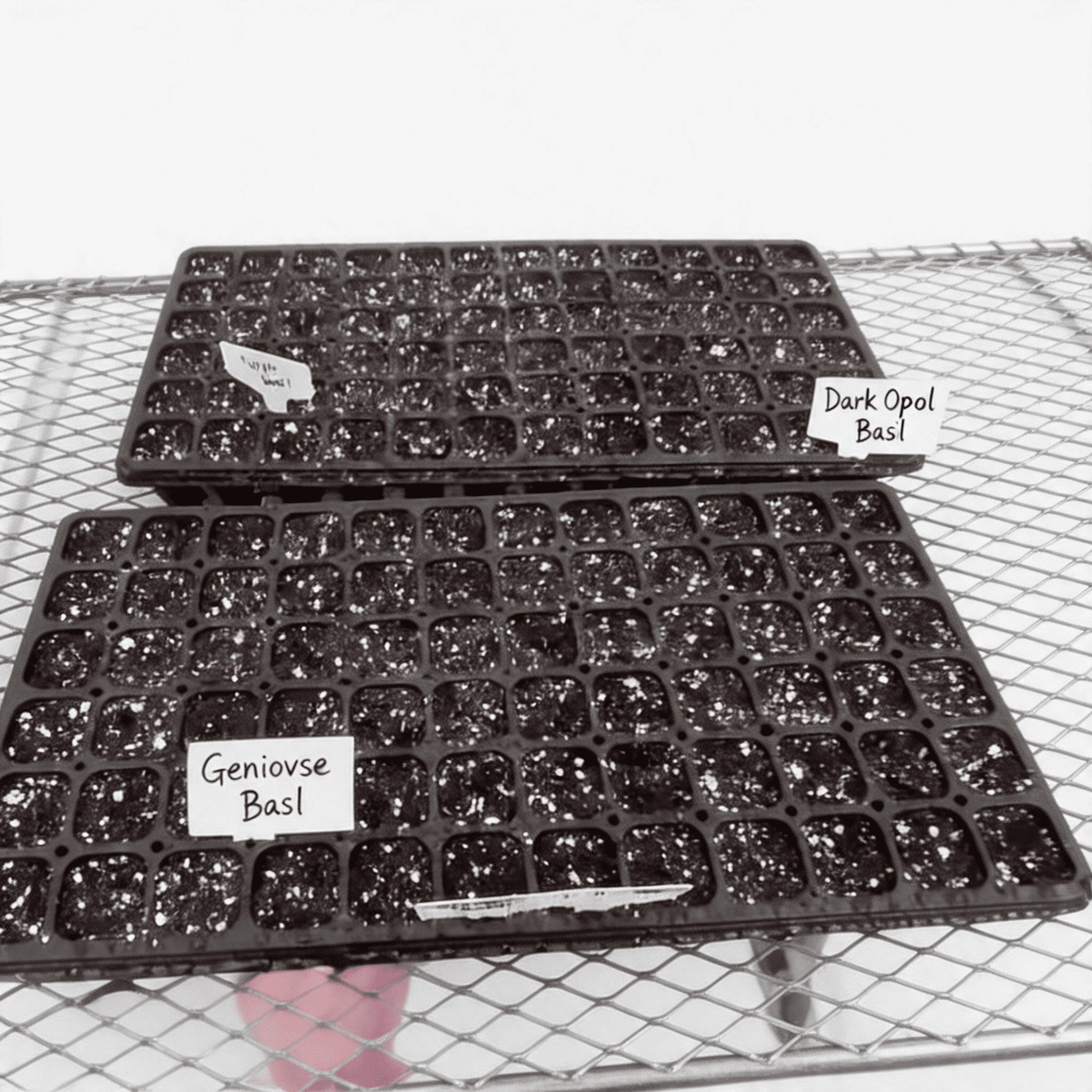 10 Pack 200 Cell Seed Starter Trays- Thick Durable Plastic Nursery Flats with Drainage Holes for Seedlings, Propagation, Seed Germination, Fits Shallow 1020 Trays