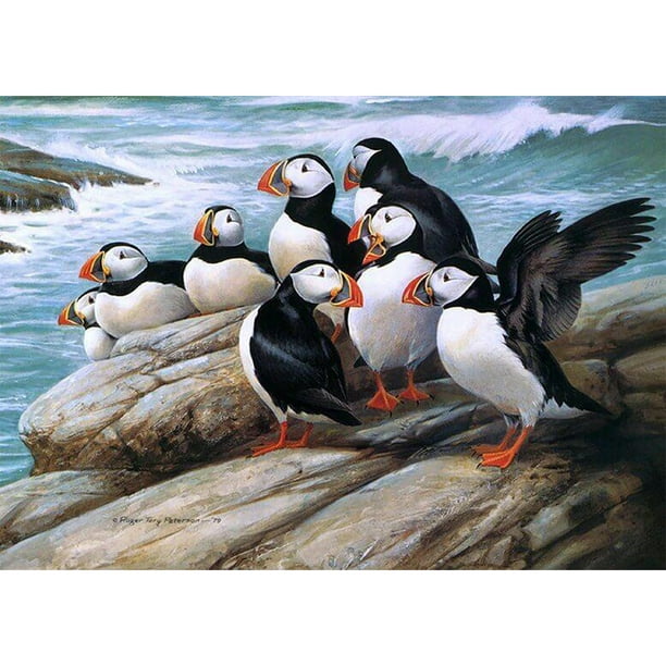 Coiry 5D DIY Full Drill Diamond Painting Puffin Cross Stitch Embroidery Art  Craft 
