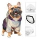 thumbnail image 3 of Fotbe Butterfly Over Lavender Sudadera con Estampado para Perros Pequeños – Suéter con Capucha para Mascotas, Tela Suave de Forro Polar con Bolsillo-X-Large, 3 of 7