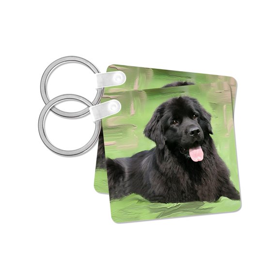 3dRose, Newfoundland, set of 2 Key Chains