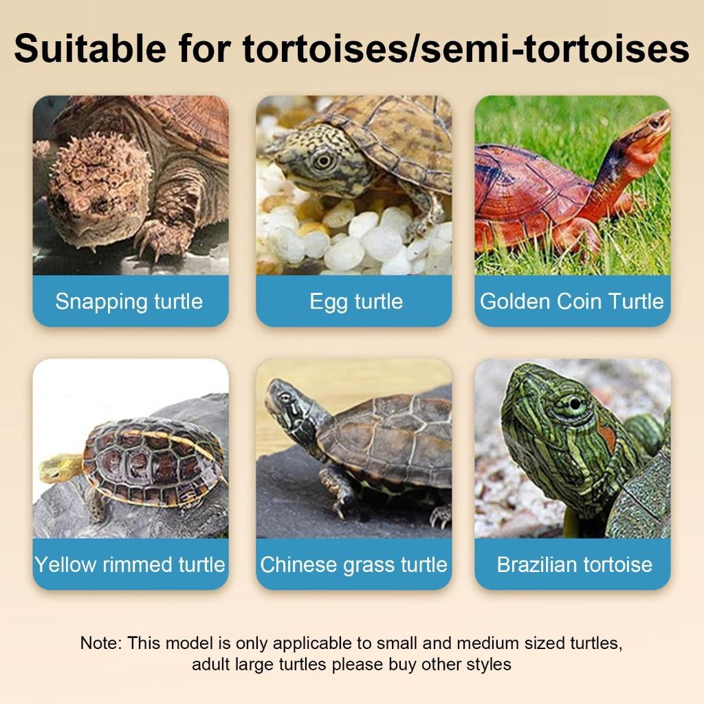 Rvaymup Turtles Tanks Turtles Feeding Box with Basking Platform Habitat House