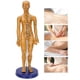 thumbnail image 4 of Modelo De Acupuntura Del Cuerpo Humano, Modelo De Acupuntura Corporal De Material De PVC Práctico, Enseñanza Para El Modelo De Masaje En El Hogar ANGGREK No, 4 of 7