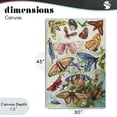 thumbnail image 4 of Stupell Industries Bohemian Colorful Butterfly Conservatory Canvas Art, 30 x 45, by Diannart, 4 of 8