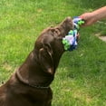 thumbnail image 3 of Dogit Knotted Rope Multi-Coloured Rope Bone Dog Toy Medium, 3 of 6