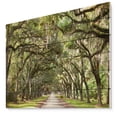 thumbnail image 1 of Design Art - Live Oak Tunnel, 1 of 5