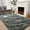 Black -03, variant on Wellber Shag Rugs Fluffy Tie-Dyed Area Rug for Bedroom Living Room Carpet Home Decor,4'x6',Blue