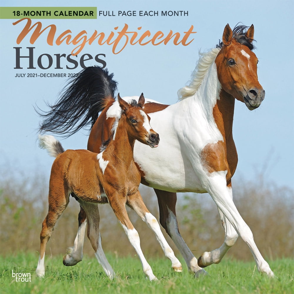 Magnificent Horses 2022 12 x 12 Inch 18 Months Monthly Square Wall