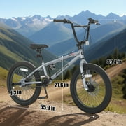SPATIAL 20 BMX Bicycle,Fits Rider for 43 - 54, Dual Disc Brakes BMX Bikes,2 Pegs Single Speed Bike