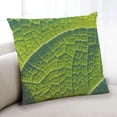 thumbnail image 1 of Ahgly Color Focus Green Company Coussin d'Intérieur, 18 Pouces par 18 Pouces, 1 of 6