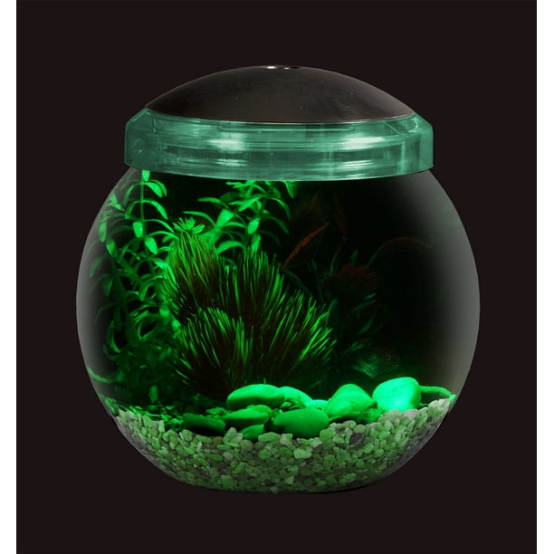 アクアリウム Supreme fish bowl Supreme Fish Bowl. 11/12/2020