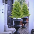 thumbnail image 5 of Artificial Cypress Topiary Tree 19.6 Inch, UV Resistant Fake Cedar Shrubs with Ground Spike, Outdoor Indoor Decor for Porch, Garden, Pathway Landscaping - Realistic Pruned Design, 5 of 7