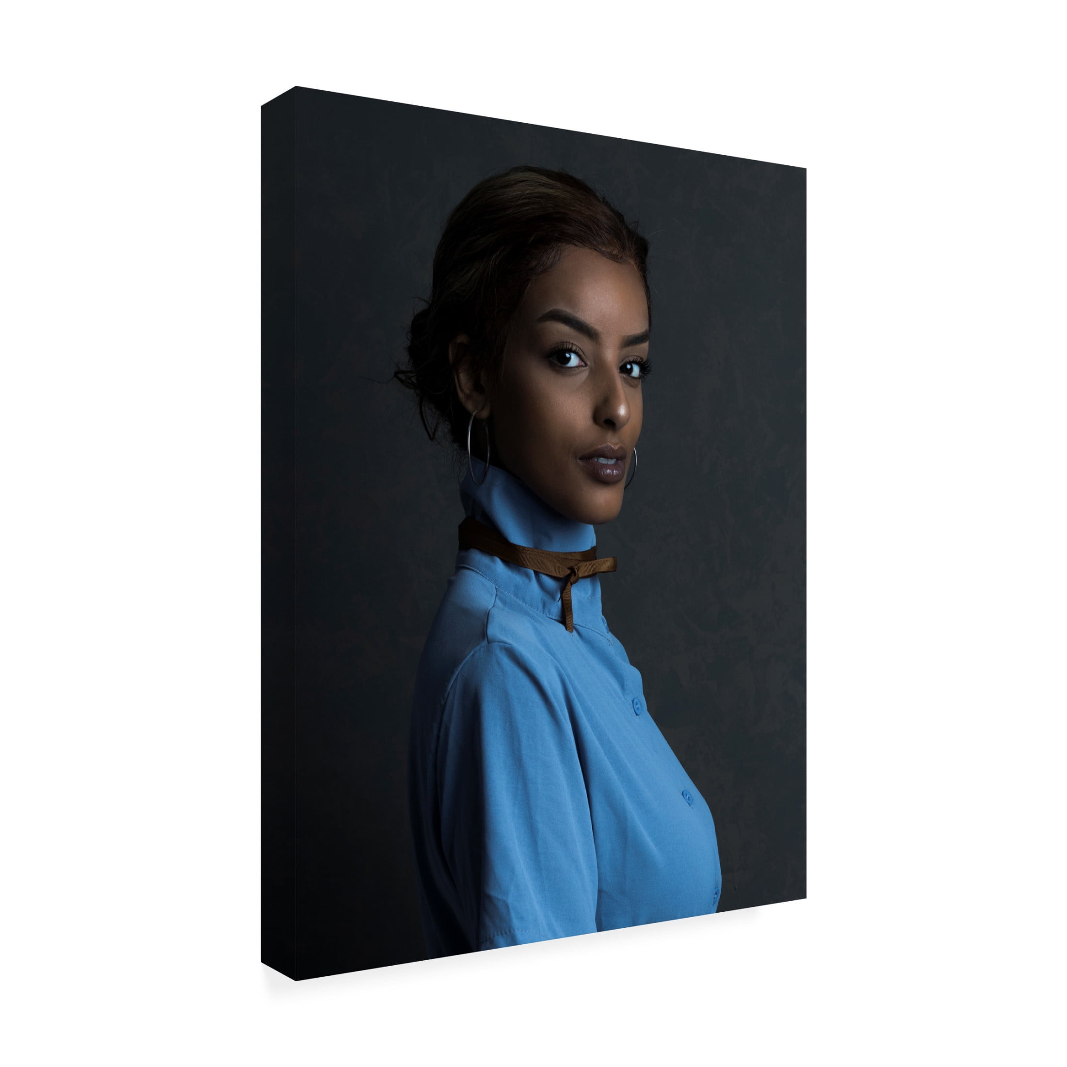 Trademark Fine Art Eleonora Fridman  Adi Canvas Wall Art