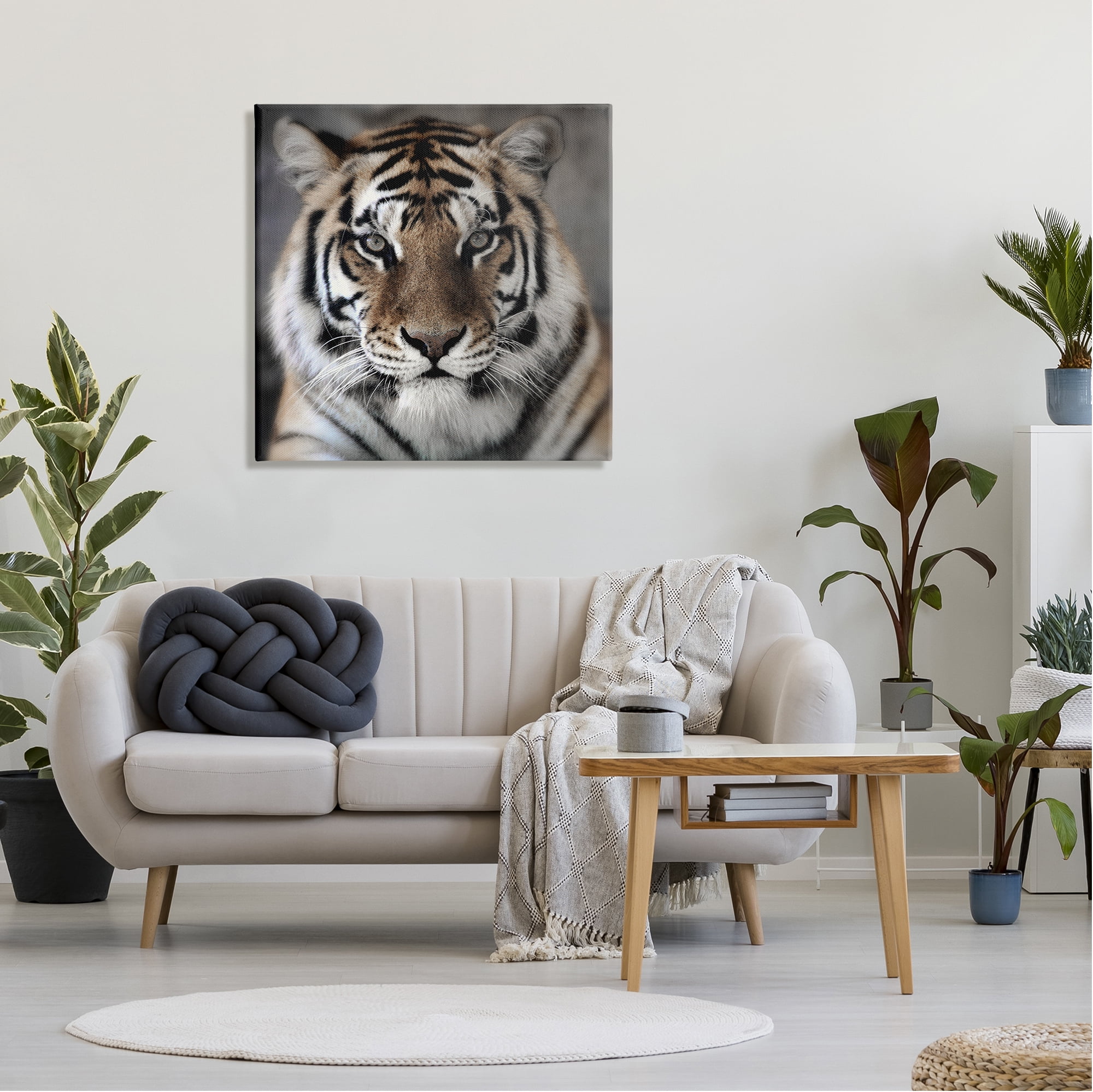 Stupell Industries Tiger Close Up Photograph Animals & Insects Photography Gallery Wrapped Canvas Art Print Wall Art, 30 x 30