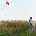 thumbnail image 4 of Flying 3D Cartoon Parrot Kite Children Outdoor Kids Toy Fun Activity Game Gift, 4 of 7