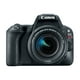 Canon EOS Rebel SL2 DSLR Appareil Photo avec Objectif 18-55mm (Noir) – image 5 sur 6