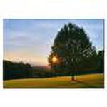 Trademark Art "Poetry of Nature" Canvas Art by CATeyes