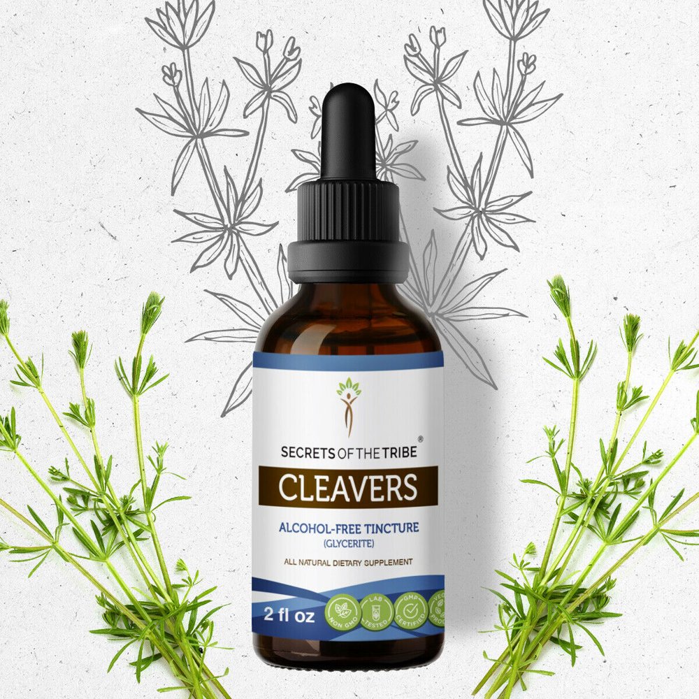 Cleavers Tincture AlcoholFREE Extract, Organic Cleavers (Galium