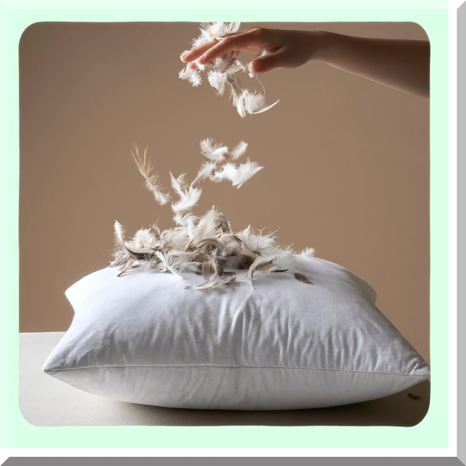 FluffCozy 16x16 Down Pillow Inserts Pack of 2 Decorative Fluffy Throw Pillows for Living Room Sofa Bed Cotton Fabric Plush Comfort Walmart