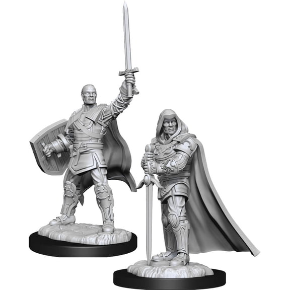 WizKids WZK90136 Dungeons & Dragons Human Paladin Male W13 Nolzurs Marvelous Miniatures