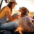 thumbnail image 2 of Pet Car Harness Retractable Leash for Dog Leash for Dog Car Harness, 2 of 4