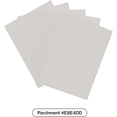 thumbnail image 2 of Curator™ Palette Sleeves: Parchment (White), 2 of 5