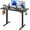 Black, variant on GALAXHERO 48 Inch Electric Standing Desk, 3 Adjustable Height Stand up Desk for Home Office, Ergonomic Sit to Stand Desk with LED Touchscreen, 3 Memory Preset Computer Desk (Maple), Headphone Hook