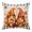 Orange,Black, variant on Throw Pillow Covers, Thanksgiving 24x24 Pillow Covers for Couch/Sofa/Bed, Fall Orange Gnomes Pumpkin Turkey Wooden Grid Decorative Square Linen Cushion Pillowcase for Home Decor