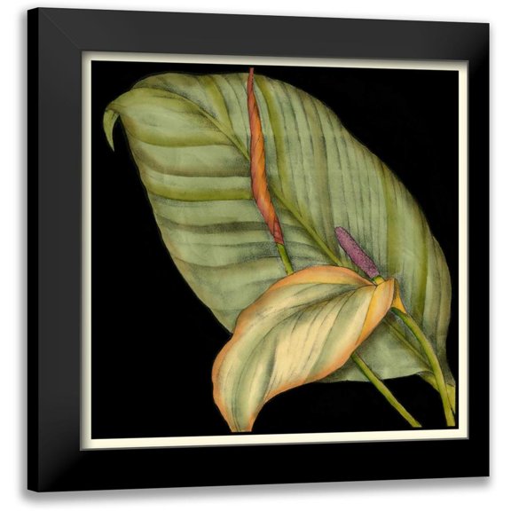 Goldberger, Jennifer 12x12 Black Modern Framed Museum Art Print Titled - Graphic Tropicals II