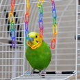 thumbnail image 5 of TUEUIO1,Plastic Chain Links Toy For Birds Rainbow Colors Interchangeable C-clip Hooks - Krygv, 5 of 5
