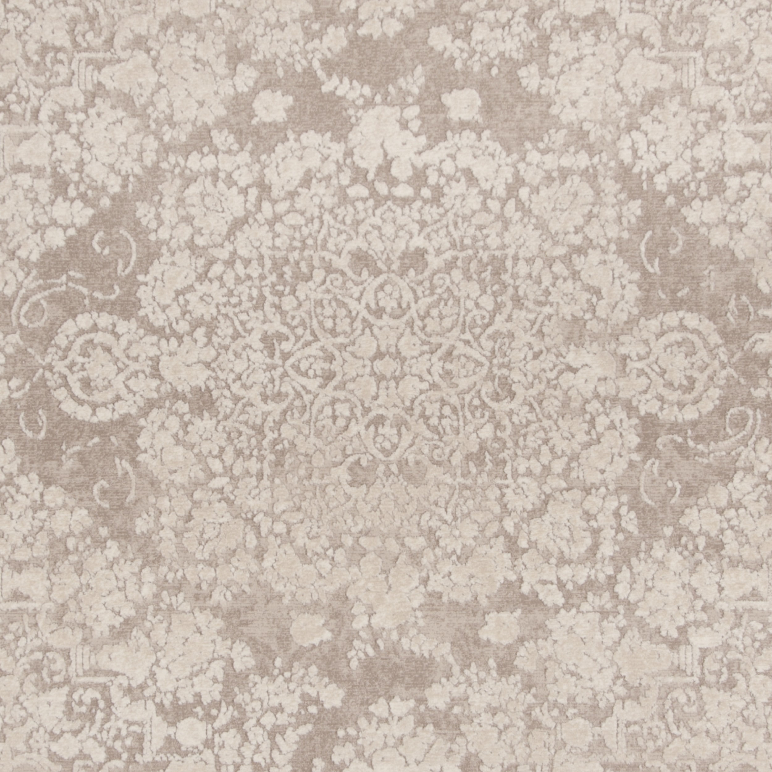 SAFAVIEH Reflection Sophia Traditional Area Rug, Beige/Cream, 5' x 5' Square