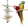thumbnail image 1 of Cuttlefish Bone Parrot Chew Bite Toy Bell Supply Calcium Molar Tool for Bird Squirrel, 1 of 8