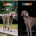thumbnail image 3 of Glowing Dog Collar, Eye Catching Comfortable Fun 3 Flashing Modes Durable LED Dog Collar  for Walking for Dark S,M,L, 3 of 7