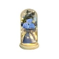 thumbnail image 2 of Taicans Preserved Rose in Glass Dome with LED Lights,Galaxy Glass Rose Eternal Rose Gift for Her,Valentine's Day,Anniversary,Wedding,Birthday Romantic Decor, 2 of 6