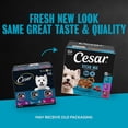 thumbnail image 4 of Cesar Filets In Gravy Variety Flavors Wet Dog Food Adult, 3.5 Oz. Easy Peel Trays (24 Pack), 4 of 14