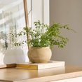 thumbnail image 4 of Bouclair Green Artificial Fern, 4 of 4
