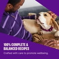 thumbnail image 4 of Wellness Complete Health Dry Dog Food, Grain Free, Natural, Chicken Recipe, (22-Pound Bag), 4 of 8