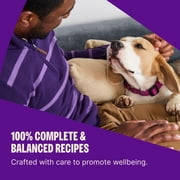 Wellness Complete Health Dry Dog Food, Wholesome Grains, Natural, Chicken & Oatmeal, (30-Pound Bag)