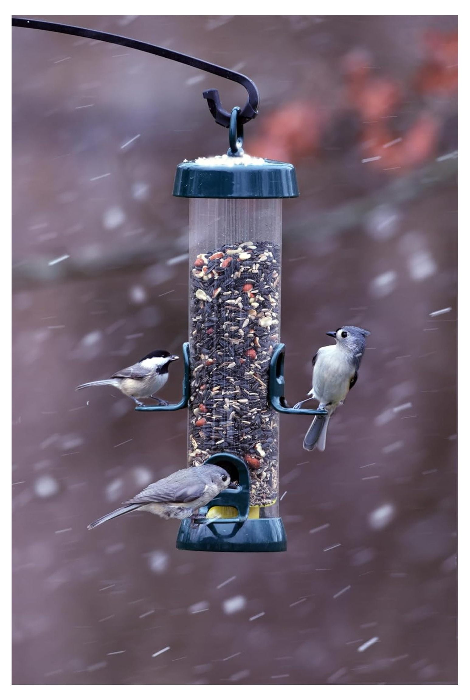 Tube 150 Wild Feeder w/4 Seed Ports, 2.6-Pound Seed Capacity, Pole-mountable