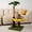 Sunflower Cat Bed, variant on Cat Scratching Post, Cat Scratcher Kitten Scratch Post,Sisal Rope for Indoor Cats, Claw Scratcher for Indoor Cats and Kittens (Catnip Ball)
