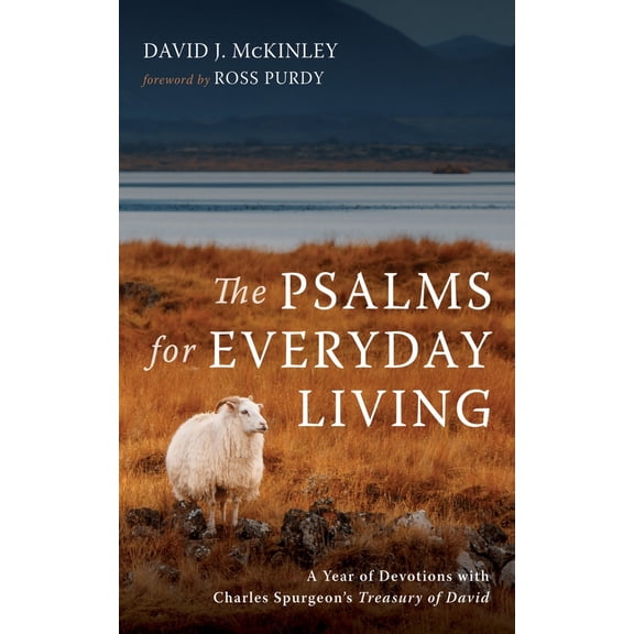 Pre-Owned The Psalms for Everyday Living (Hardcover) 1666708399 9781666708394