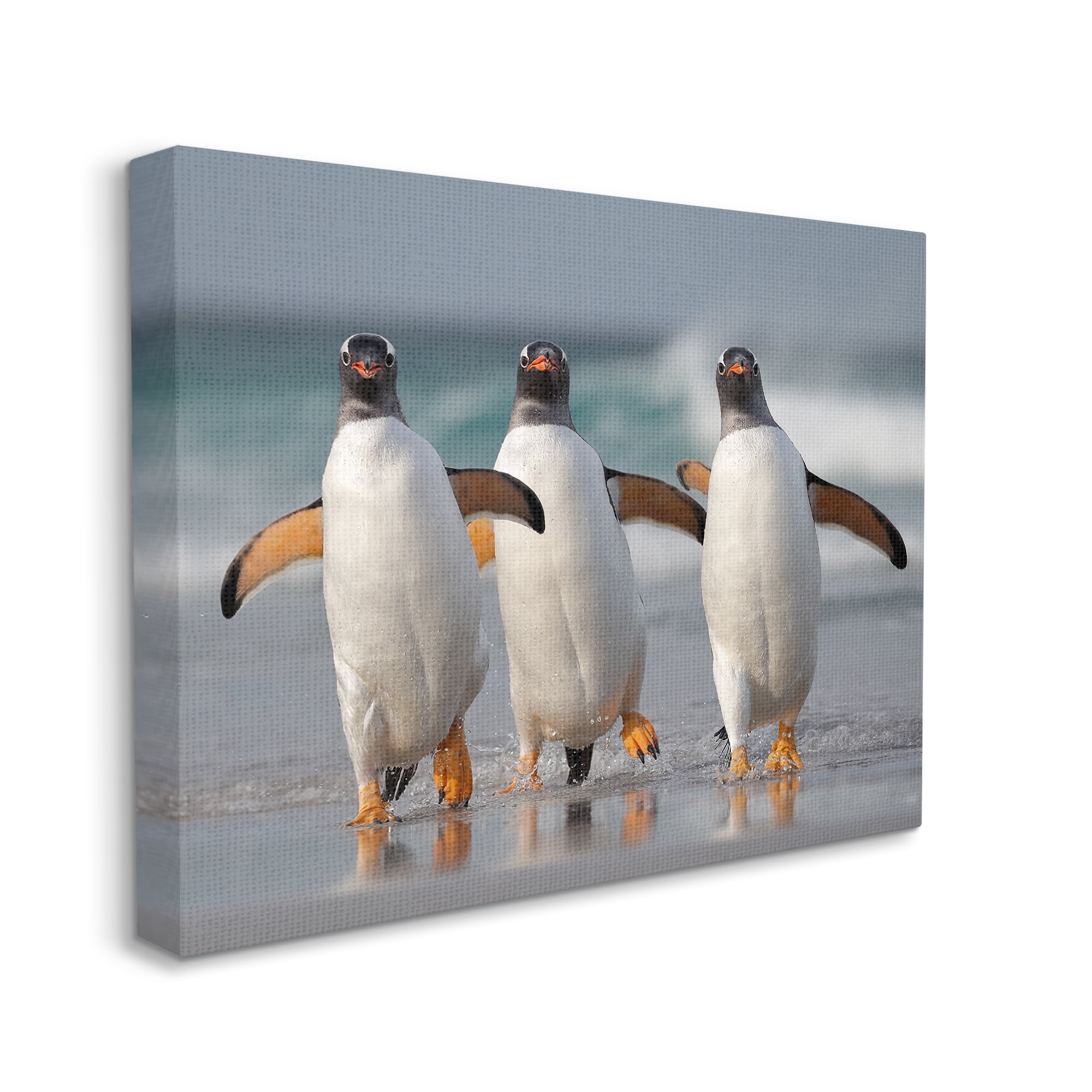 Stupell Industries Penguin Trio on Beach Animals & Insects Photography Gallery Wrapped Canvas Art Print Wall Art, 20 x 16