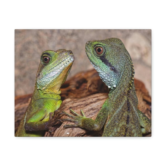 Funny Water Dragons Silly Water Dragons Scene Couple Wall Art Ready to Hang Unframed