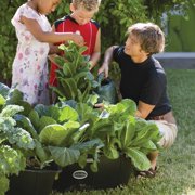 EarthBox EarthBox: Ready to Grow Base Kit