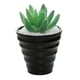 thumbnail image 5 of Injueey Bonsái Artificial paisaje interior simulación decorativa suculenta miniatura Mini plantas adornos de arreglo de escritorio Tipo 1 2piezas, 5 of 6