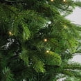 thumbnail image 3 of 6' Pre-Lit Potted Oregon Noble Fir Slim Artificial Christmas Tree - LED Lights Clear, 3 of 5